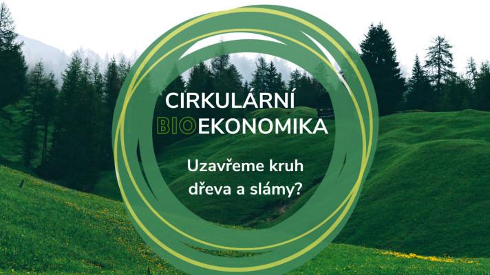 Cirkulární (bio)ekonomika: uzavřeme kruh pro dřevo a slámu?