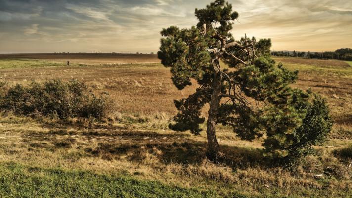 Klimatickou změnu bereme vážně. Mikroregion Kostelecko se odpovědně připravuje na budoucnost