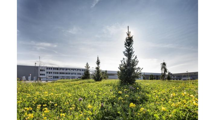 Mezinárodní den biologické rozmanitosti: ŠKODA AUTO představuje vybrané projekty na ochranu biodiverzity