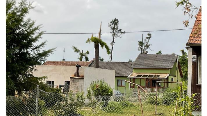 Pomoc po tornádu potřebují i stromy. Zasáhne arboHELP