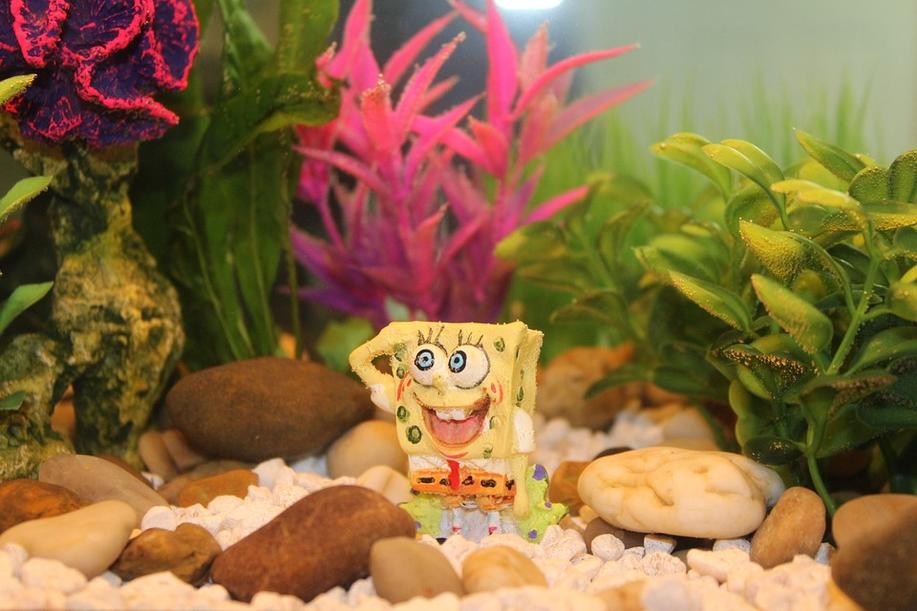 Mořští vědci našli v Atlantiku Spongeboba a Patrika