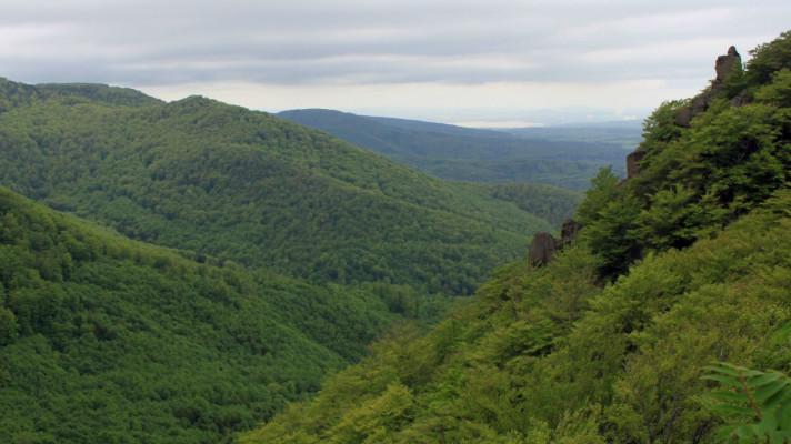 Jizerskohorské bučiny jsou naší první přírodní lokalitou světového dědictví UNESCO
