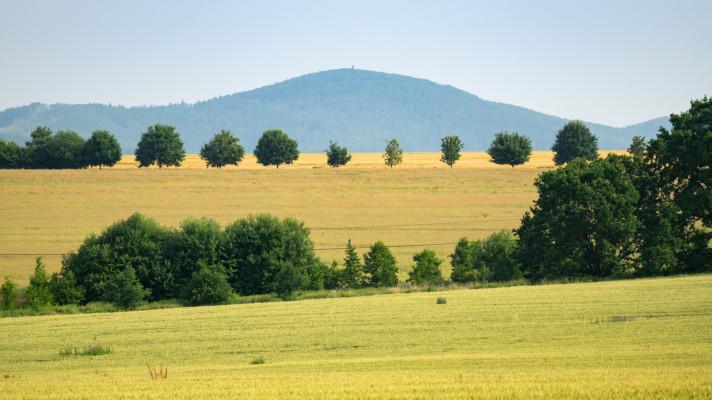 Od roku 1998 přibylo pod Blaníkem 200 km alejí