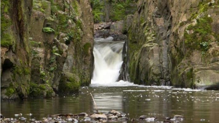 Národní park Křivoklátsko by měl zahrnout 16 procent současné CHKO
