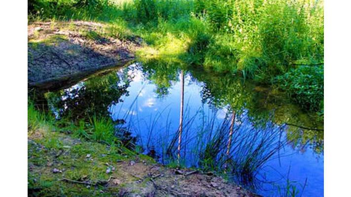 Chrudim: Zadržení vody v porostech městských lesů Chrudim: Zadržení vody v porostech městských lesů