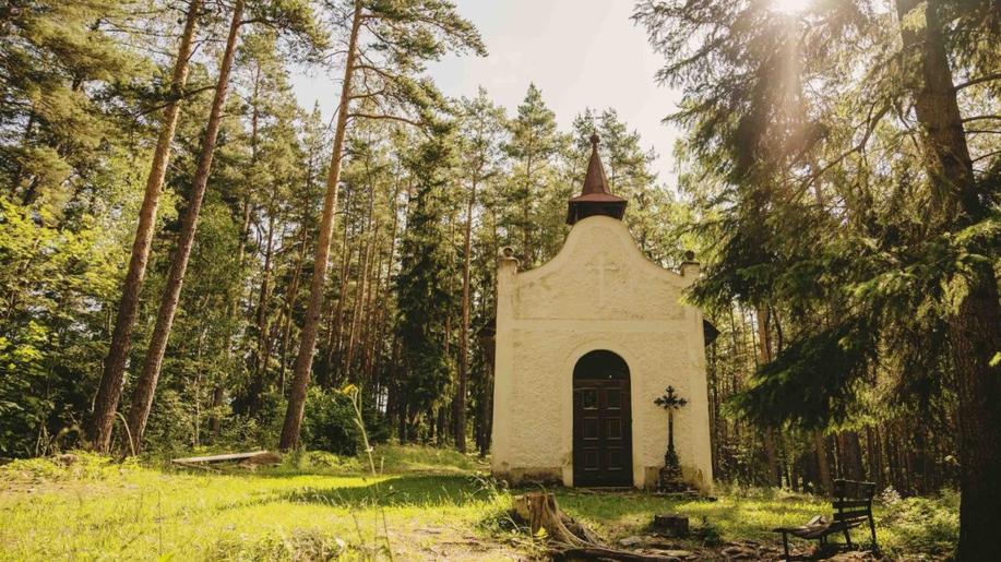 Královská Šumava se stává jedenáctým národním geoparkem