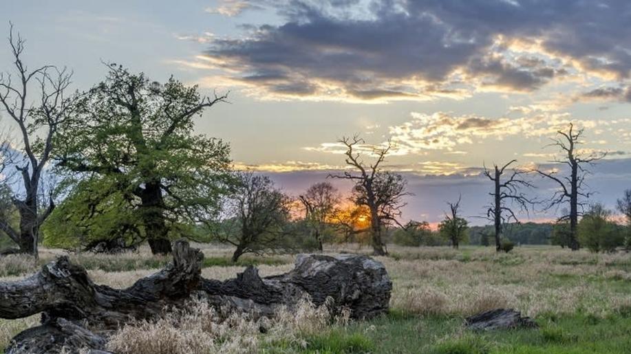 Vyšel poslední Věstník MŽP roku 2022
