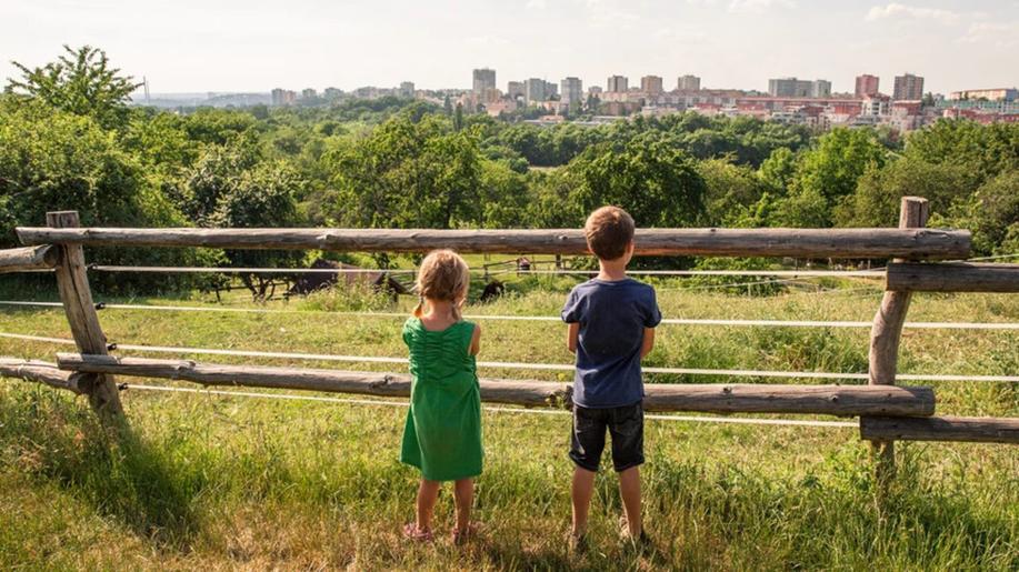 Jak uspořit energie a žít v duchu udržitelnosti? Inspirujte se projekty E.ON Energy Globe