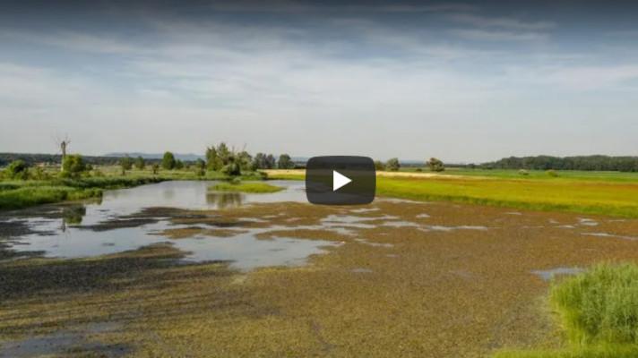 Ptačí park Kosteliska se rozrostl o nové pozemky