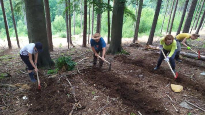 Pomoc krajině a poškozeným lesům. Dobrovolníci se mohou hlásit do dalších Týdnů pro krajinu
