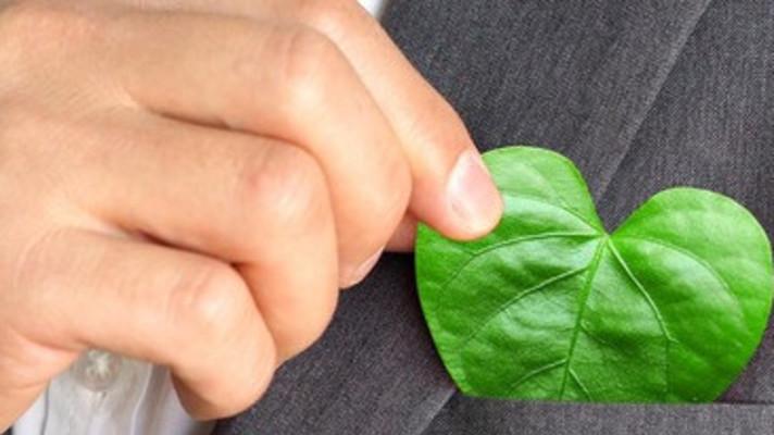 Firmy na cestě k energetické účinnosti: 5. ročník kurzu Young Energy Europe