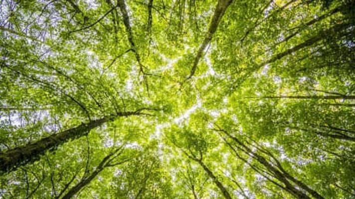 EU, Kanada a Čína se setkávájí, aby jednali o klimatu (MoCA)