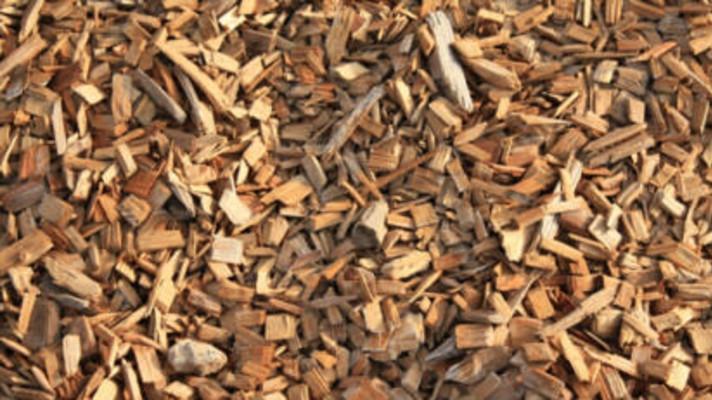 Brno: Městské lesy budou dodávat dřevní štěpku teplárnám