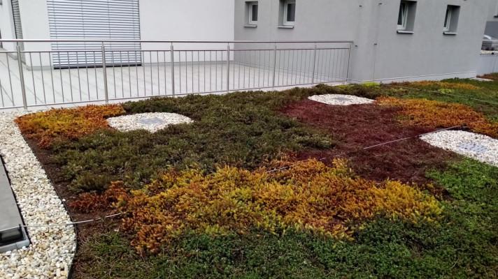 Zelené střechy jsou IN, zapojte se do hlasování o Cenu veřejnosti!