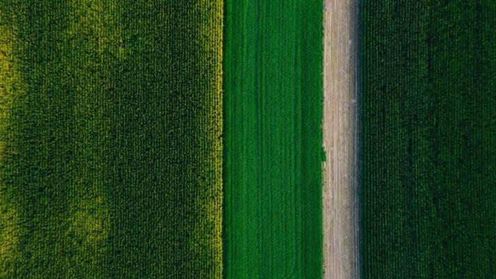 European Green Deal in turbulent times: where are we at?