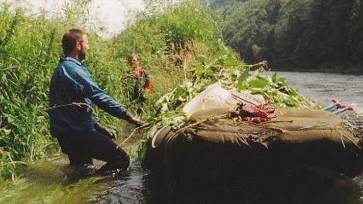 Veřejnost nyní může připomínkovat zásady regulace bolševníku velkolepého a pajasanu žláznatého