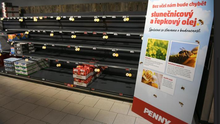 PENNY: Bez včel bychom přišli o 60% potravin