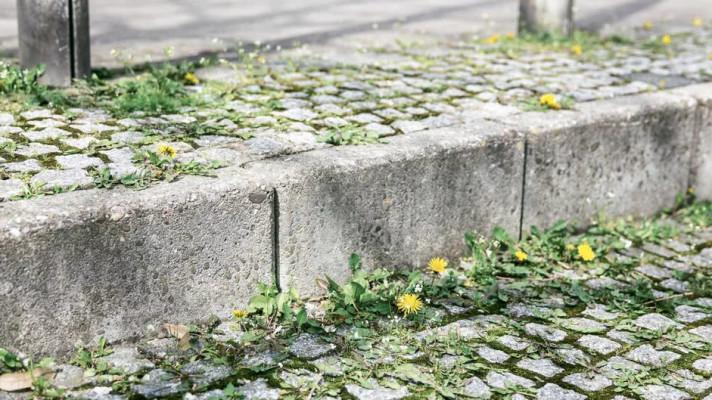 Mnoho lidí a obcí stále používá pro boj s plevelem škodlivou chemii. Ta může zamořovat půdu, podzemní vody i následně pitnou vodu