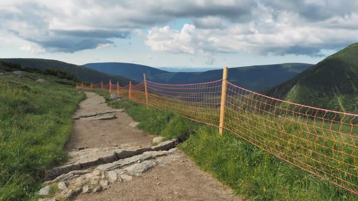 Přírodu na Sněžce opět chrání sítě, vymezují návštěvnický prostor
