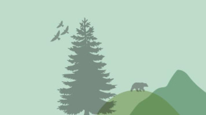 What has more holes than a Swiss cheese? The new EU Deforestation law