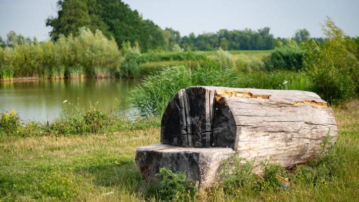 Který z projektů je lépe připravený na vedro, sucho, lijáky nebo energetickou soběstačnost?