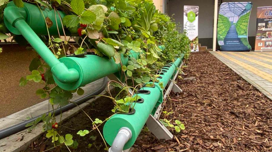 Future Farming v Bílovci otevřel  první středoškolskou edukační farmu v ČR