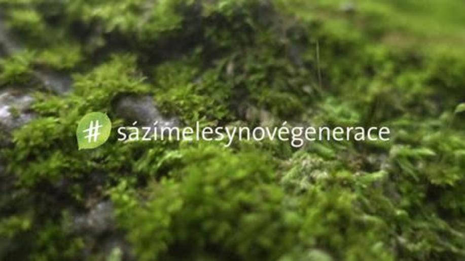 Den za obnovu lesa 2022