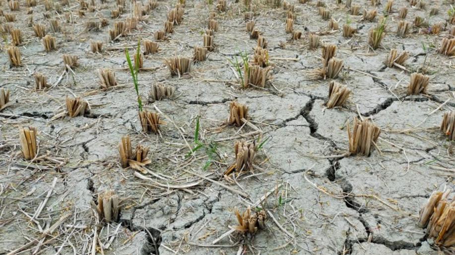 What the droughts expose