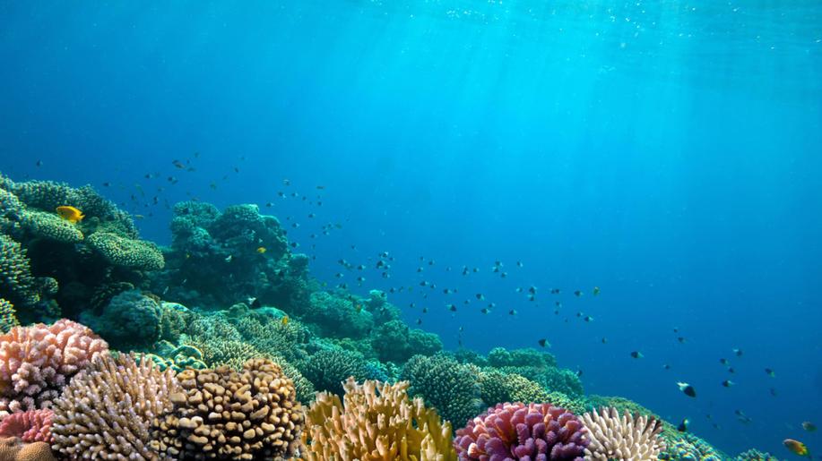 Státy se neshodly na dohodě o ochraně oceánů, jednání prý ale pokročila