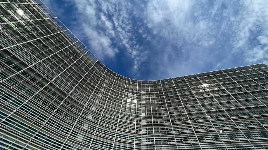 Public Consultation on the Critical Raw Materials Act