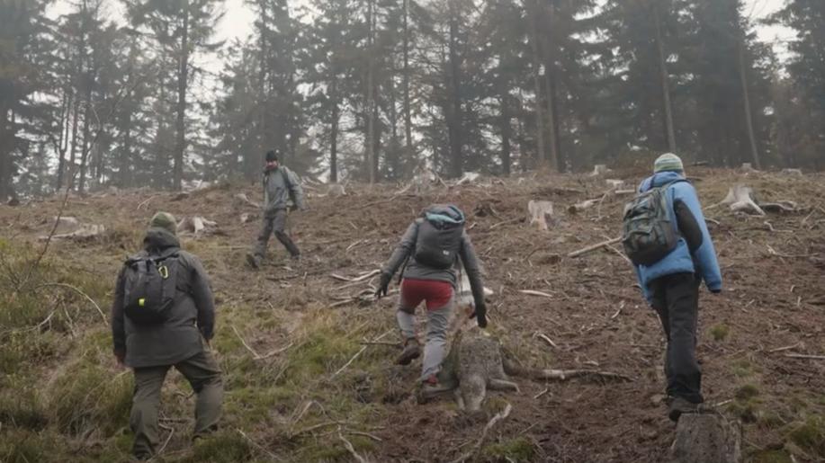Dobrovolníci Vlčích a Rysích hlídek pomáhají odkrýt skrytý život šelem. Jejich řady se na podzim rozšíří