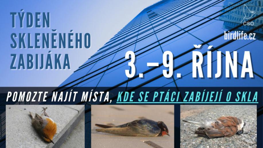 Kde ptáci narážejí do skel? Zapojte se do pátrání