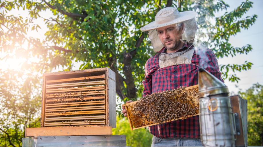 1 million European valid signatures to Save Bees and Farmers