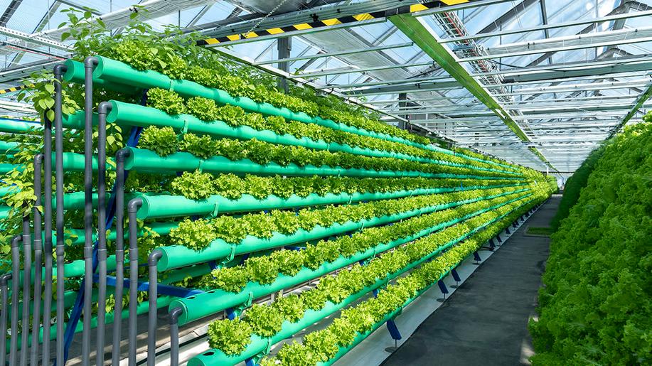 Future Farming kupuje zemědělský areál  v Přerově nad Labem 