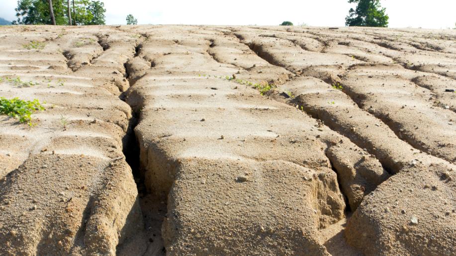 Další krok k posílení ochrany půdy: ještě šetrnější hospodaření na erozně ohrožených polích