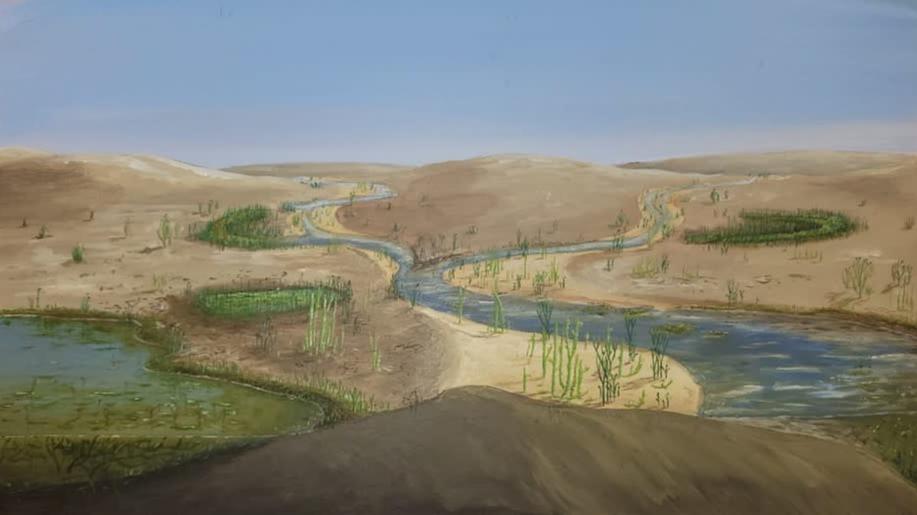 Vědci vyřešili sto let starou botanickou záhadu