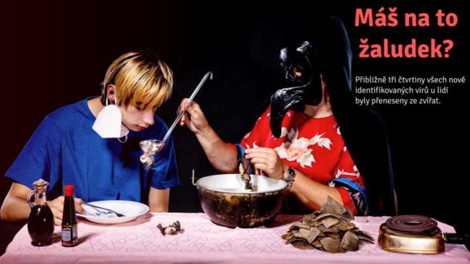 Kampaň Ukradená divočina představuje sérii fotografií o ilegálním obchodu se zvířaty Kampaň Ukradená divočina představuje sérii fotografií o ilegálním obchodu se zvířaty