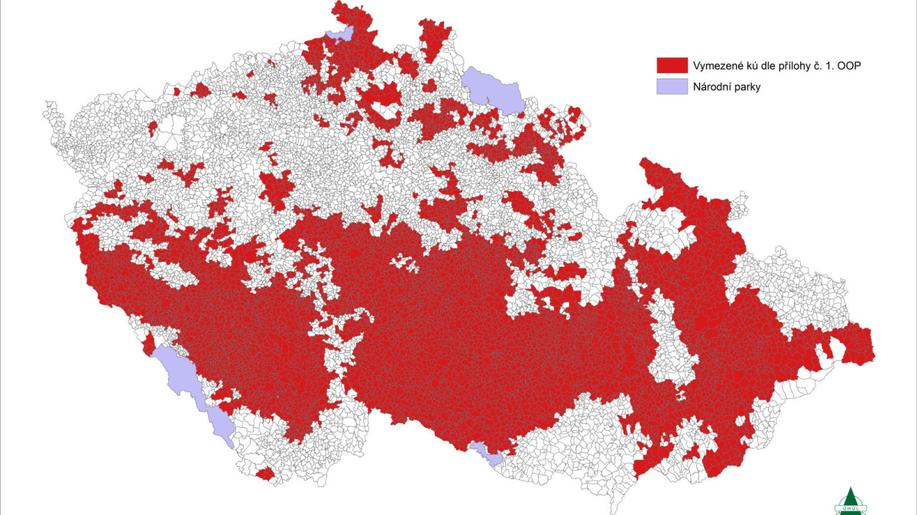 Přestože kůrovcová kalamita ustupuje, vznikají nové takzvané červené zóny