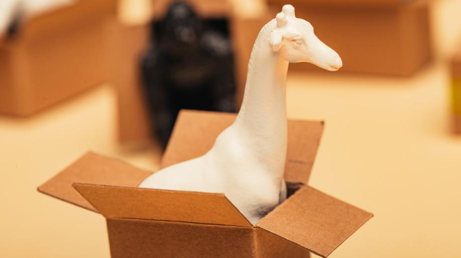 Opětovné použití materiálů nemusí být ekologičtější  než jejich okamžitá recyklace