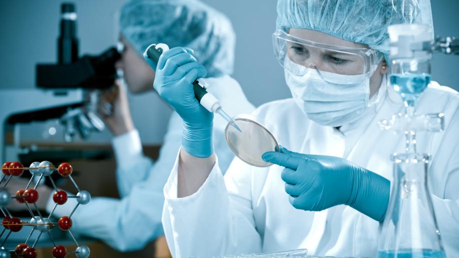 Čeští vědci objevili parazita s mimořádně vzácným genetickým kódem