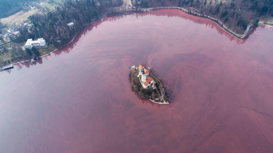 Bledské jezero ve Slovinsku se celé zbarvilo doruda, přemnožily se v něm sinice