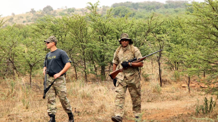 Rekordní počet nosorožců se v Namibii stal loni obětí pytláků