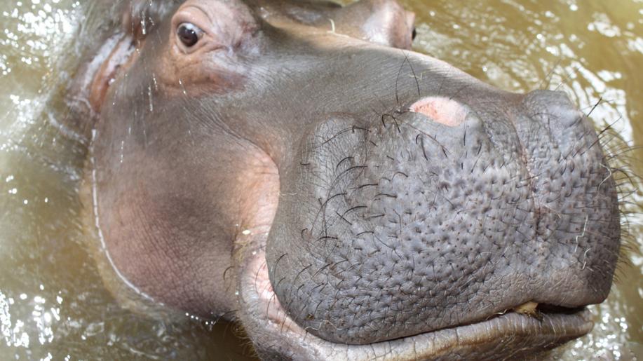 Zoo Ostrava o prázdninách mimořádně zpřístupní výukové centrum