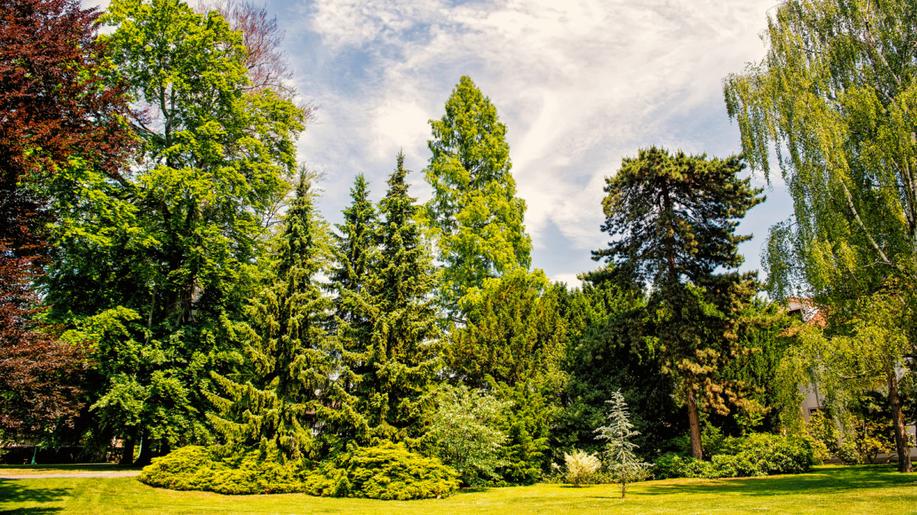 Blíží se uzávěrka fotografické soutěže Czech Nature Photo 2023