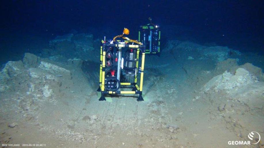 Těžba z mořského dna může nevratně poškodit oceány a ohrožené druhy, tvrdí vědci