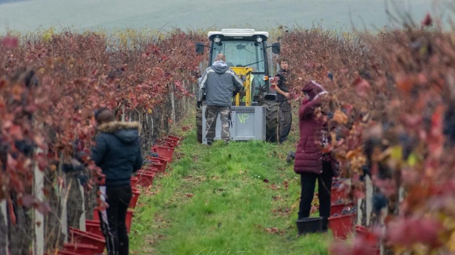 Uhlíková stopa: jak ji důvěryhodně snižovat a vyhnout se greenwashingu