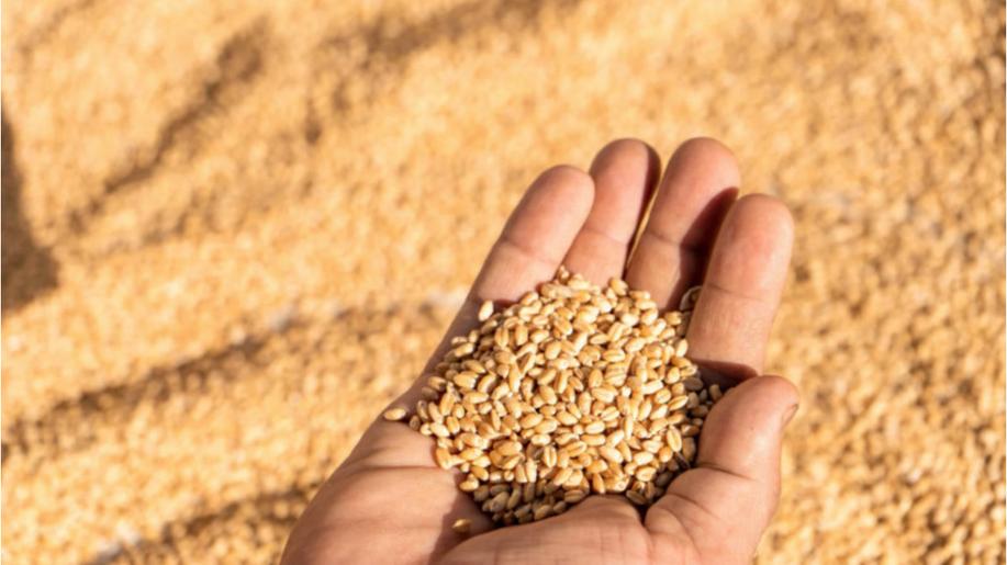 Farm to Fork: systemic change or more of the same?