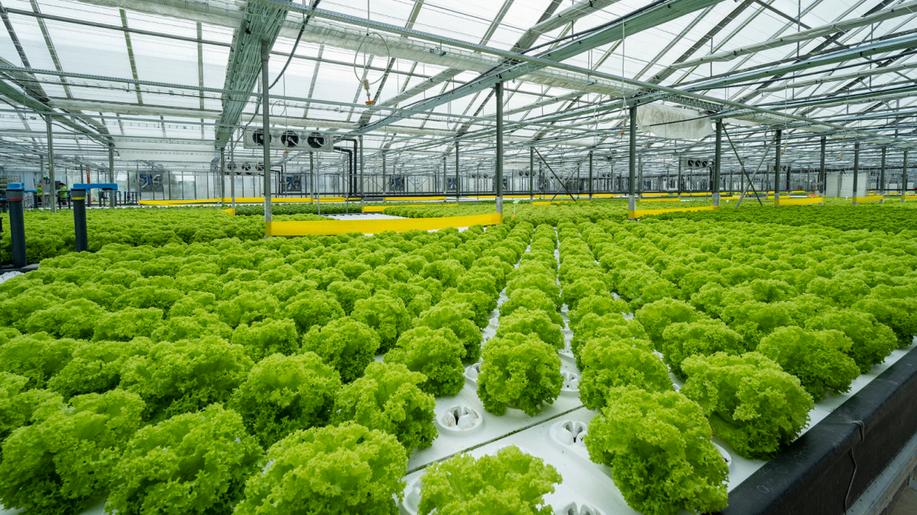 Akvizice roku na poli udržitelného zemědělství. Future Farming vstupuje do Rybí zahrady