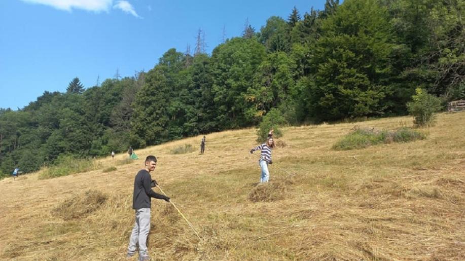 Dobrovolníci pomáhají na loukách
