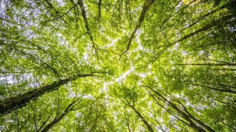 Dosažení dohody o monitorování emisí metanu v energetice